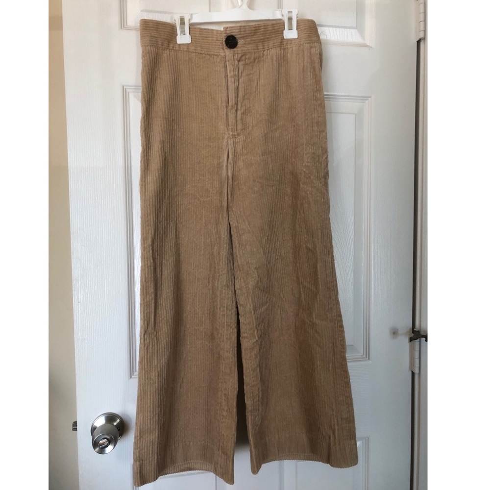 Wide-Leg Pants (Zara)